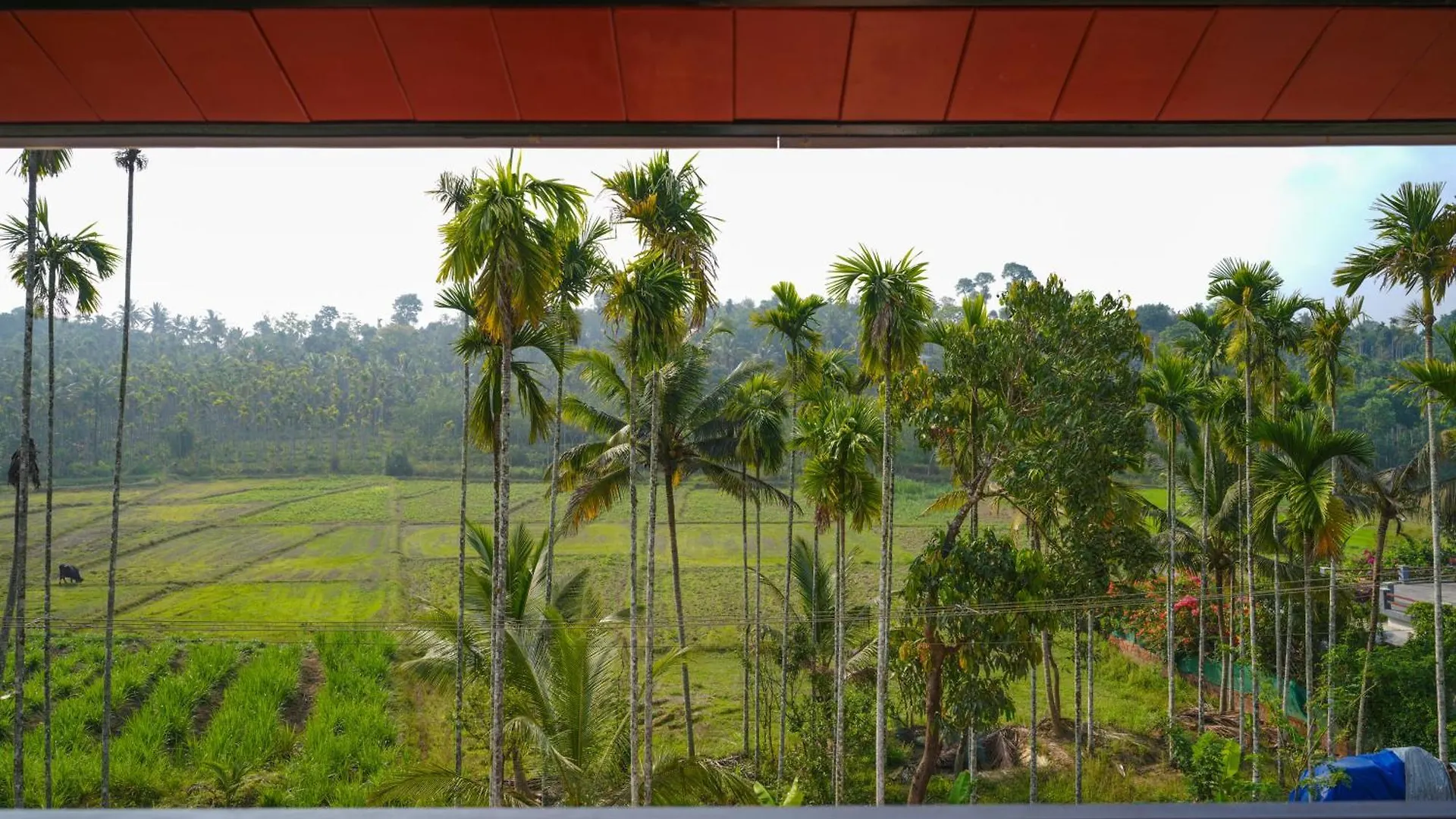 The Calm County Homestay 마난타바디